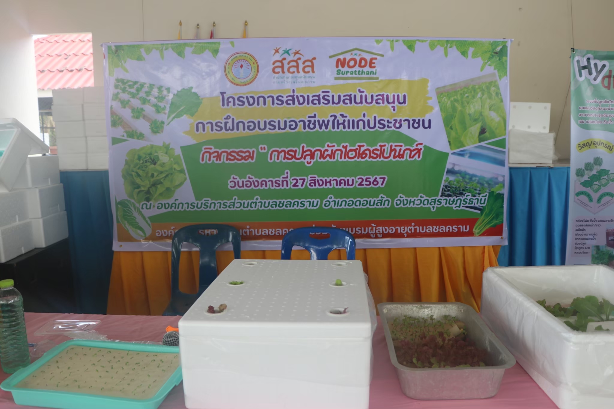 โครงการส่งเสริมสนับสนุนการฝึกอบรมอาชีพให้แก่ประชาชน
กิจกรรม "การปลูกผักไฮโดรโปนิกส์"
องค์การบริหารส่วนตำบลชลคราม อำเภอชลคราม จังหวัดสุราษฎร์ธานี
วันอังคารที่ 27 สิงหาคม 2567